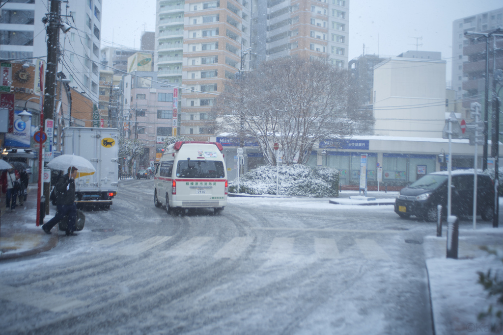 雪の日