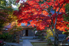 宝蓮寺
