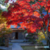 宝蓮寺
