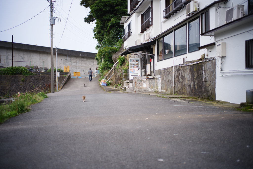 導き