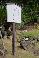 石の上