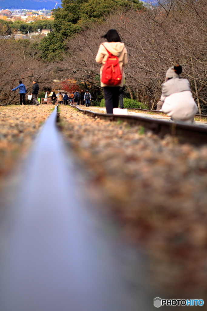 鉄路だったもの