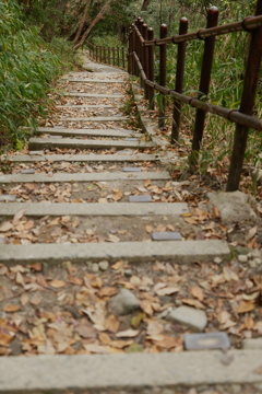 上ってきた道