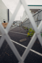 格子
