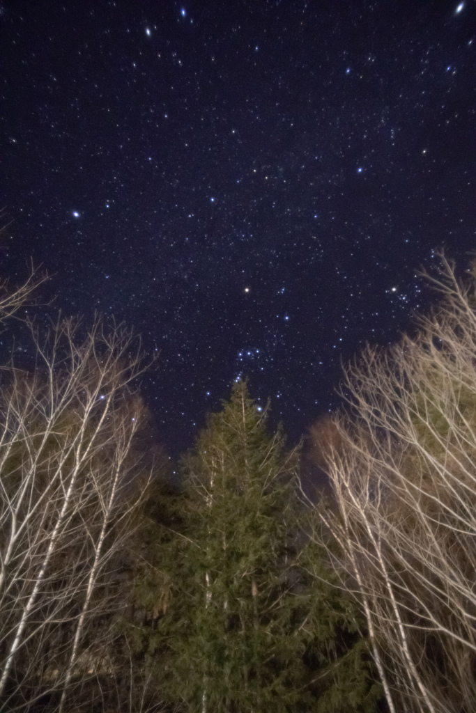 乗鞍の星空1