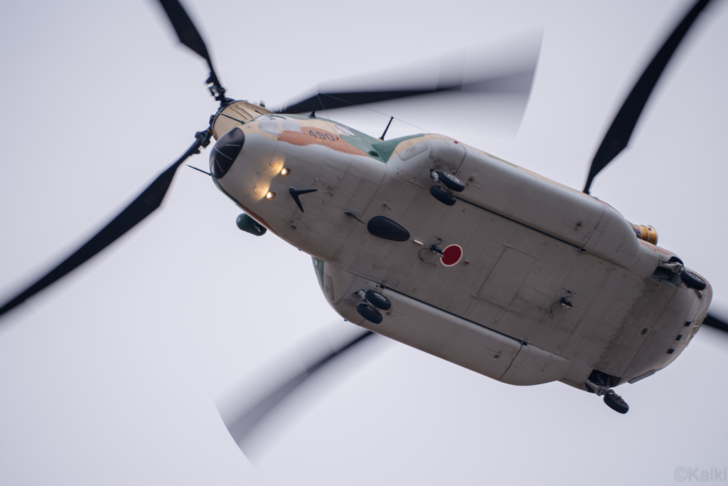 チヌーク@小牧基地オープンベース