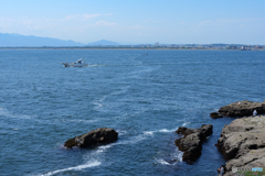 駿河湾