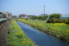 華の河川敷
