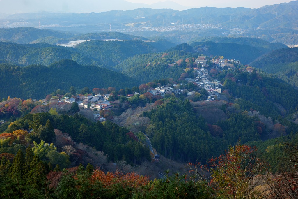 吉野