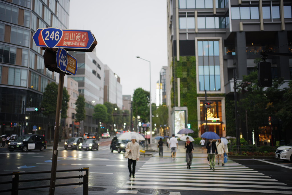 雨