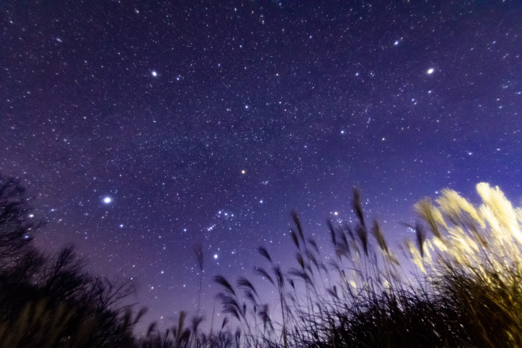 曽爾高原の星空