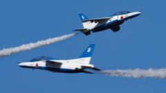 入間基地航空祭2024-ブルーインパルス-