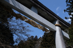青鳥居