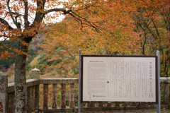 阿夫利神社