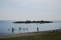 海岸