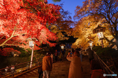 大雄山最乗寺の紅葉