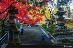 大雄山最乗寺