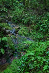 小川