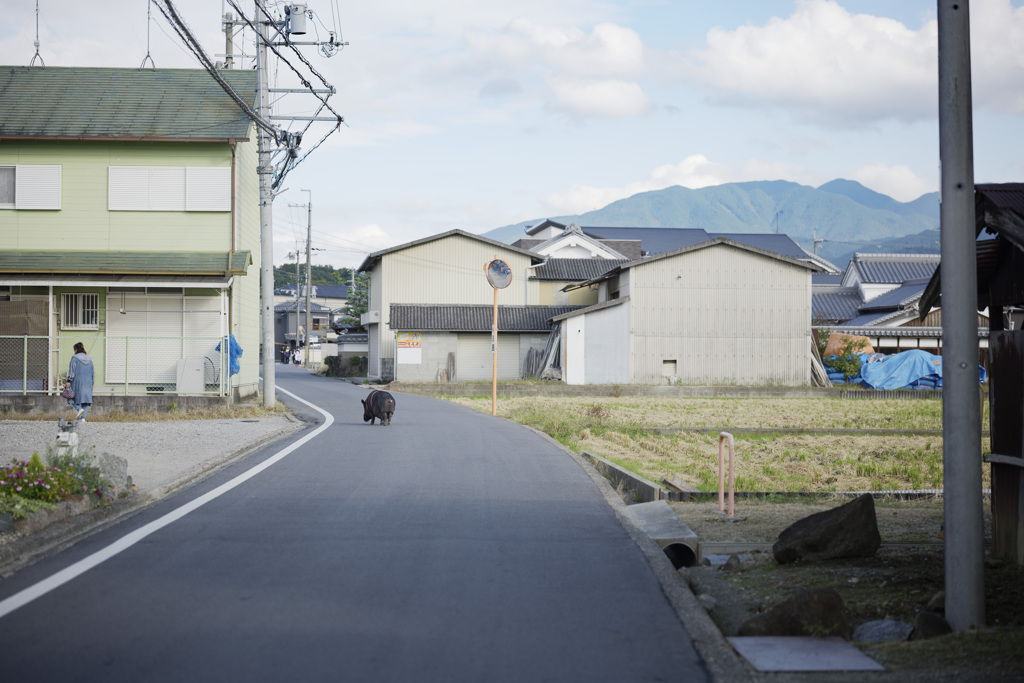 散歩