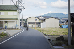 散歩