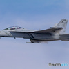 岩国FD① CVW-5 FA-18F