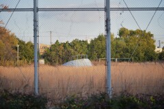 忘れられた公園