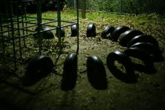 集会