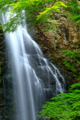 箕面の滝