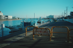 堤防の散歩道