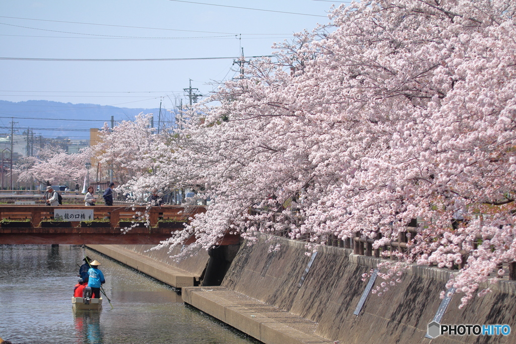 水の郷