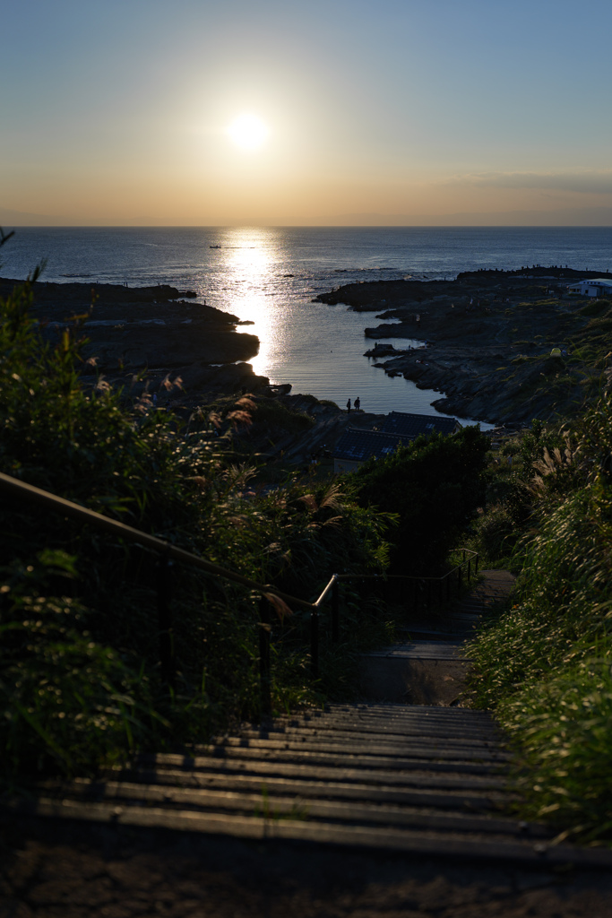海岸へ