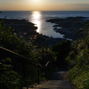 海岸へ