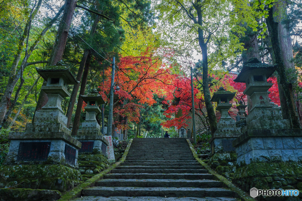 大雄山最乗寺