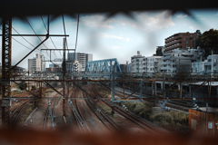 眺