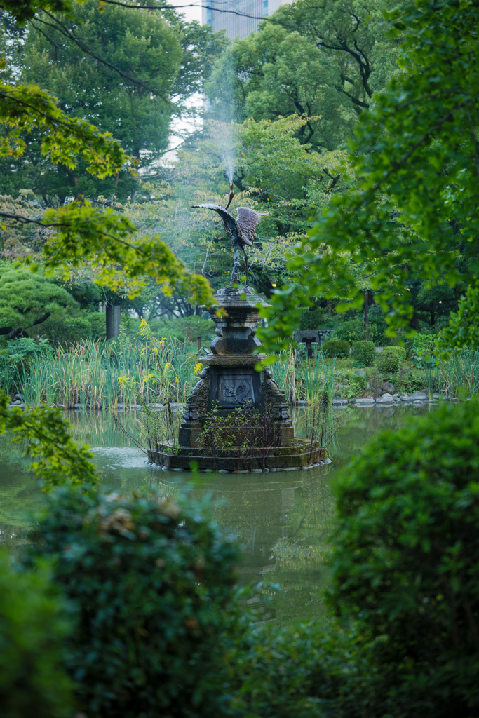 像