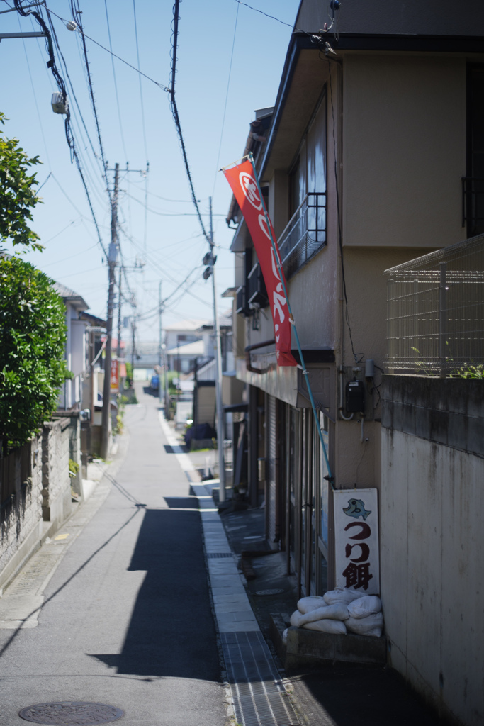 夏