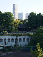 塔群