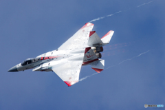 飛実　F-15白