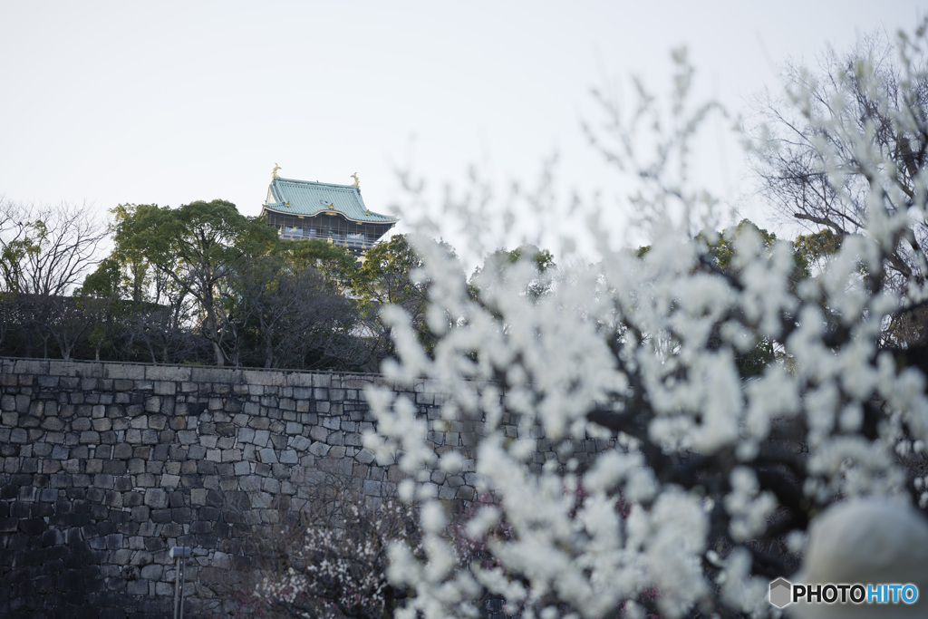 大阪城梅園