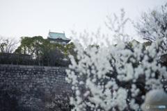 大阪城梅園