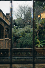 窓景