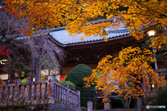 大雄山最乗寺の紅葉