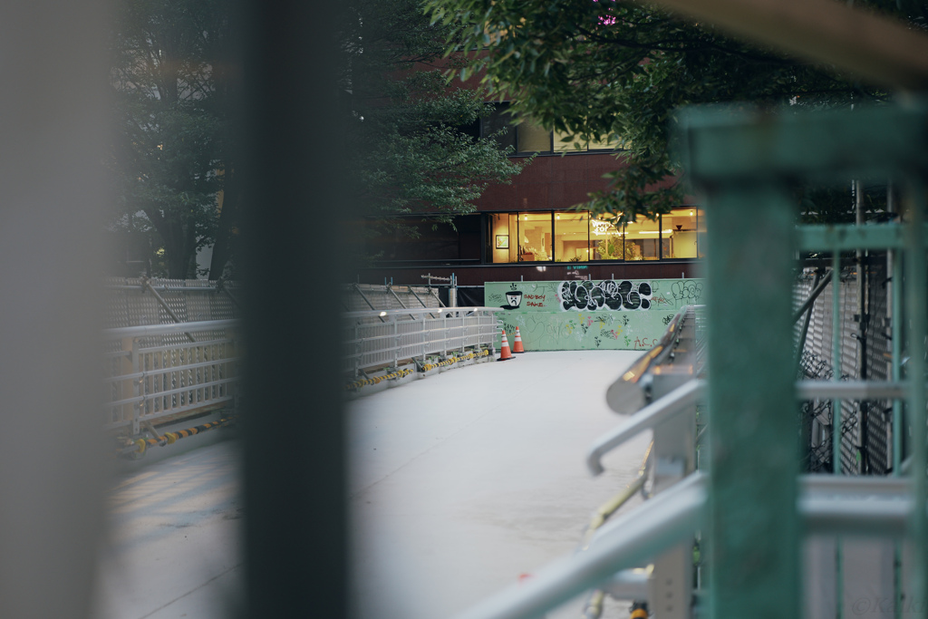 Snap in SHIBUYA
