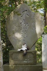 特等席