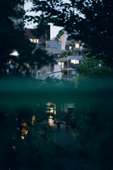Snap in SHIBUYA
