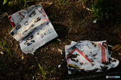 雑誌