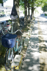 夏の駐輪場
