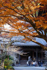 紅葉