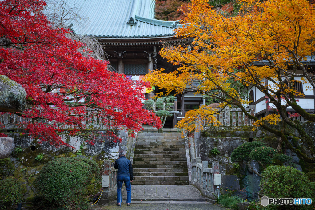 大雄山最乗寺