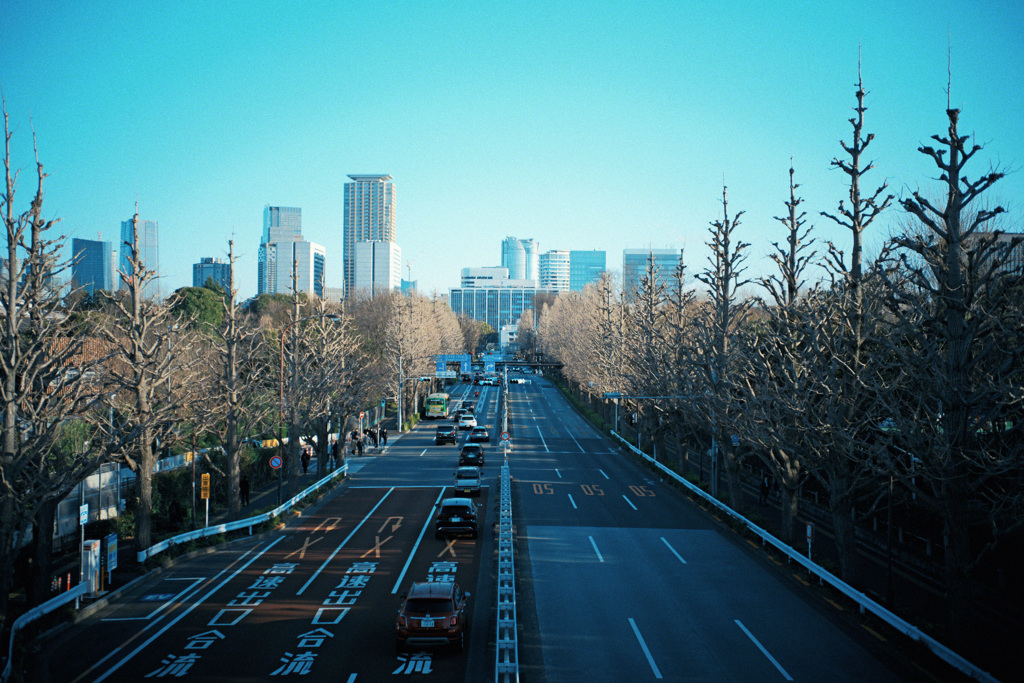 道路